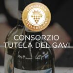 Premio Gavi 2023, i produttori di vino si fanno sentire su costi e benefici della sostenibilità