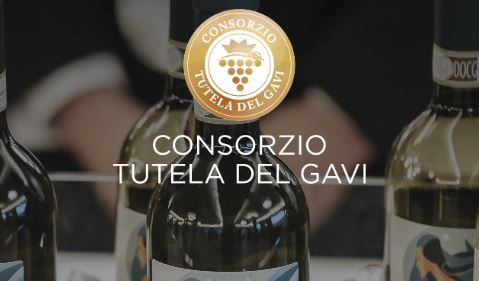 Premio Gavi 2023 logo Consorzio