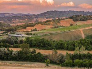 Paternopoli cantina Fonzone al tramonto