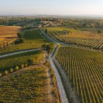 Vigneti, l’investimento che guarda sempre più ai territori oltre che alla bottiglia