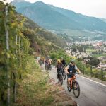 Vini di Valtellina, torna ViVa: un lungo weekend tra Nebbiolo delle Alpi, esperienze e musica